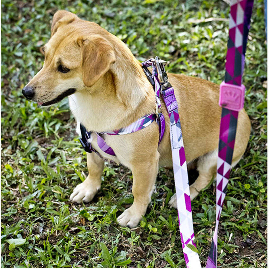 Guia William Piuí Pink para Cães - Tam. P/M
