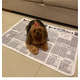 Tapete Higiênico Lavável Dog's Care The New York Dogs