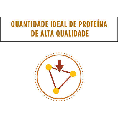 Ração Seca Nestlé Purina Pro Plan Veterinary Diets NF para Função Renal de Gatos no Estágio Avançado