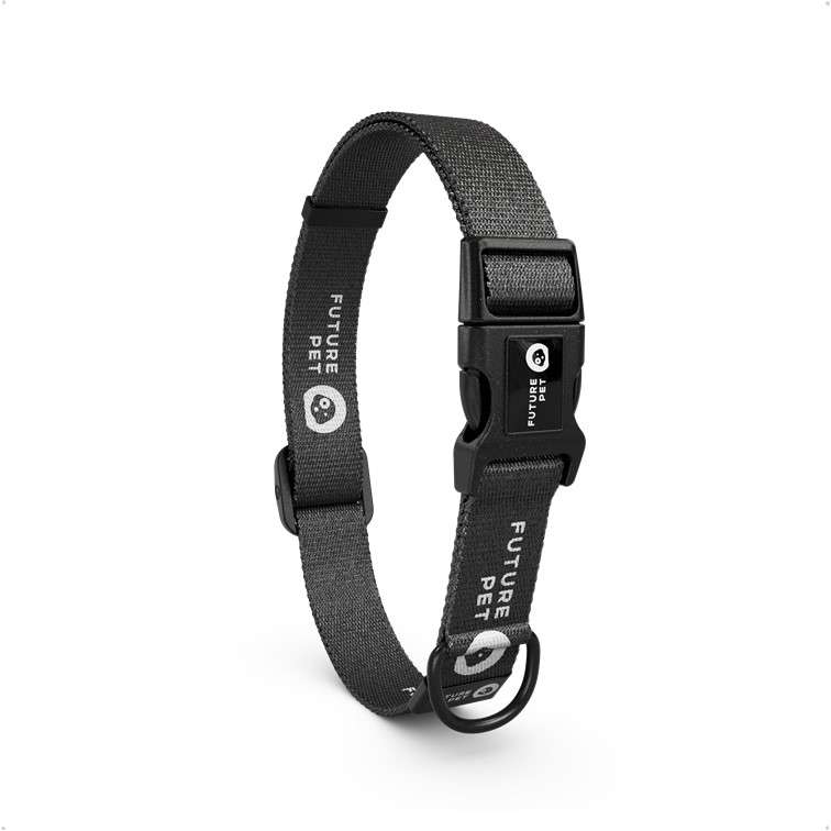 Coleira Future Pet Logo Brand Preta - Tam. P
