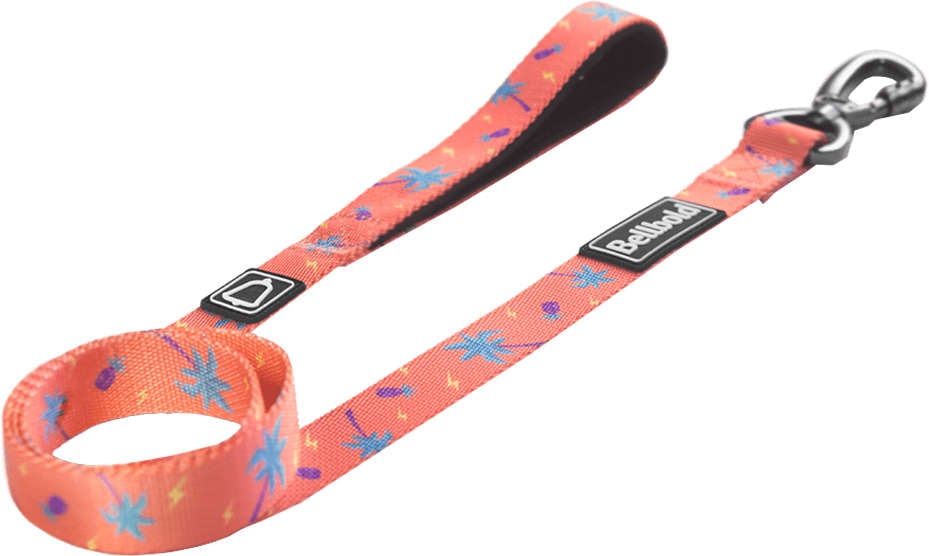 Guia Bellbold Summer Rain para Cães - Tam. G