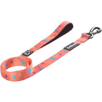 Guia Bellbold Summer Rain para Cães