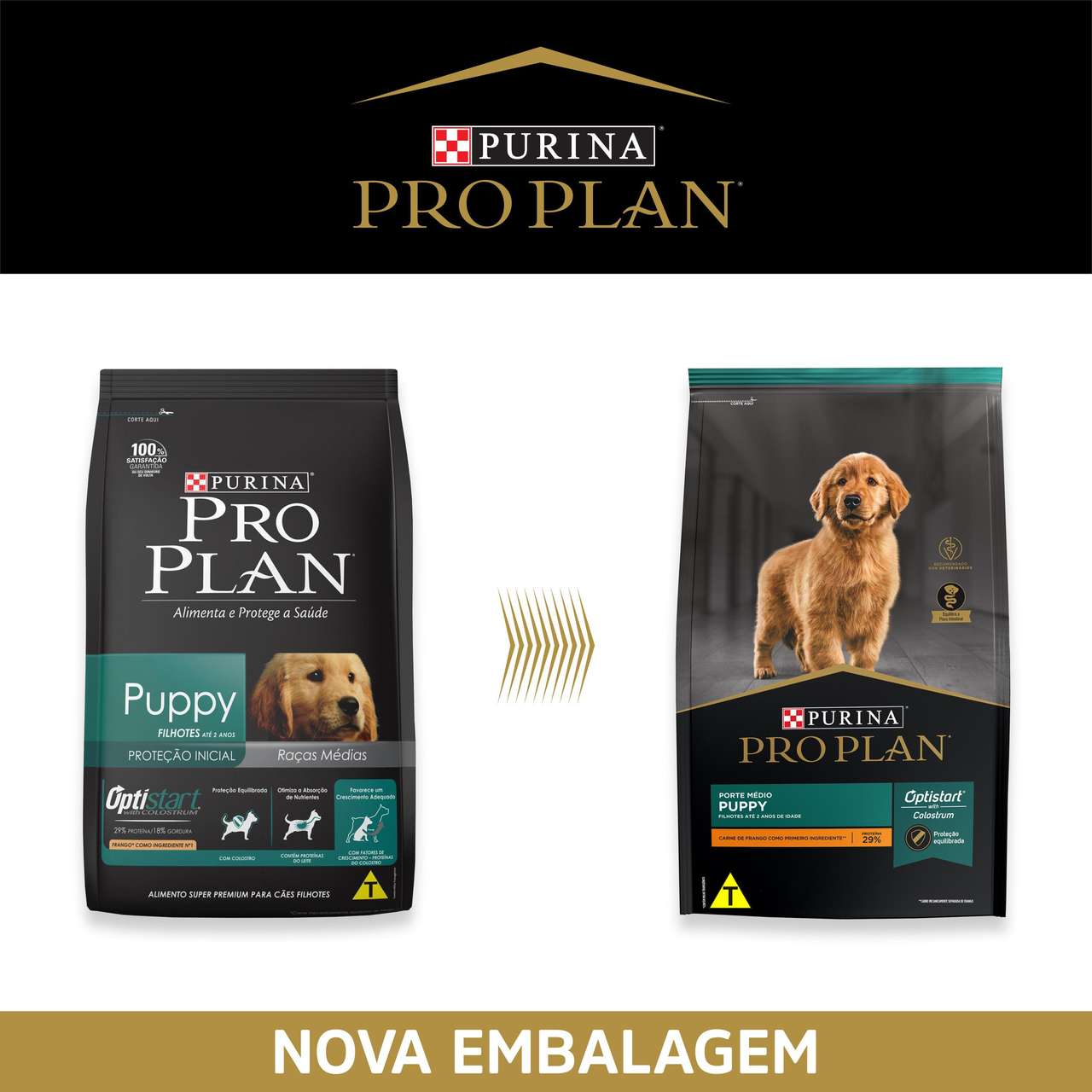 Ração Seca Nestlé Purina Pro Plan Frango Cães Filhotes Raças Médias - 2,5Kg