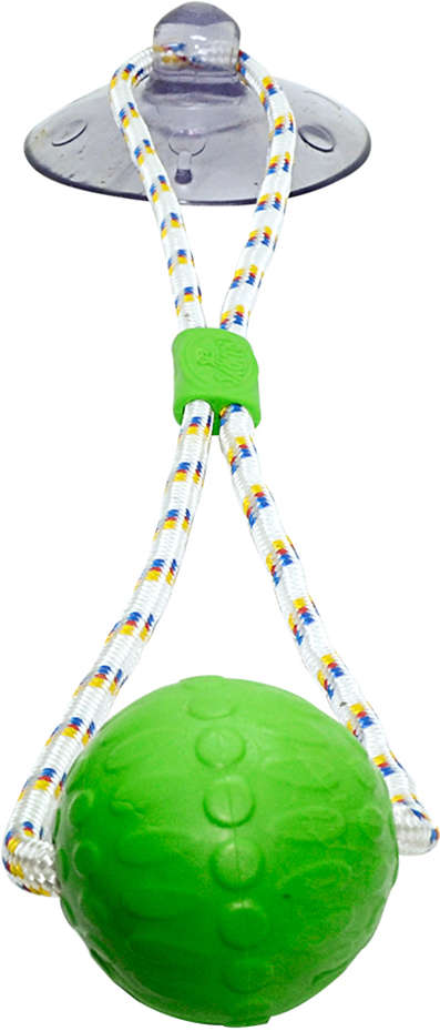 Brinquedo Push Ball Divercão Verde - Tam. Único