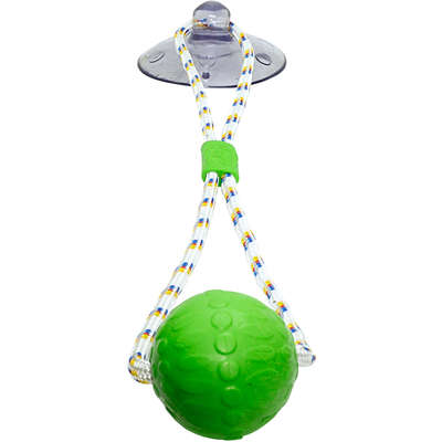 Brinquedo Push Ball Divercão Verde