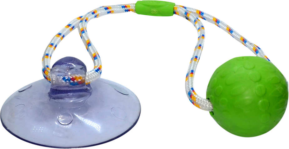 Brinquedo Push Ball Divercão Verde - Tam. Único