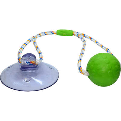 Brinquedo Push Ball Divercão Verde