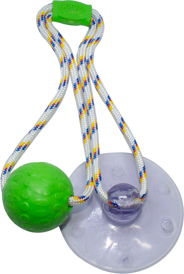 Brinquedo Push Ball Divercão Verde - Tam. Único