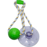 Brinquedo Push Ball Divercão Verde - Tam. Único