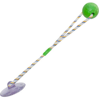 Brinquedo Push Ball Divercão Verde