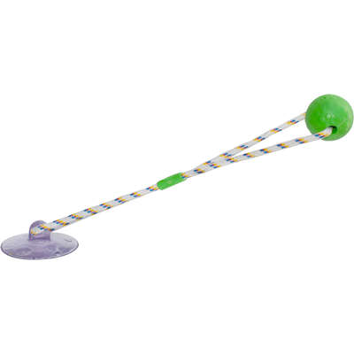 Brinquedo Push Ball Divercão Verde