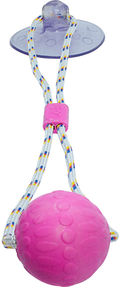Brinquedo Push Ball Divercão Rosa - Tam. Único