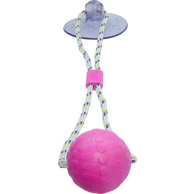 Brinquedo Push Ball Divercão Rosa