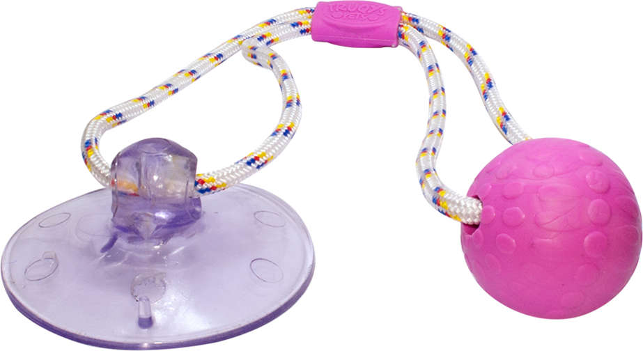 Brinquedo Push Ball Divercão Rosa - Tam. Único
