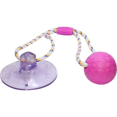 Brinquedo Push Ball Divercão Rosa