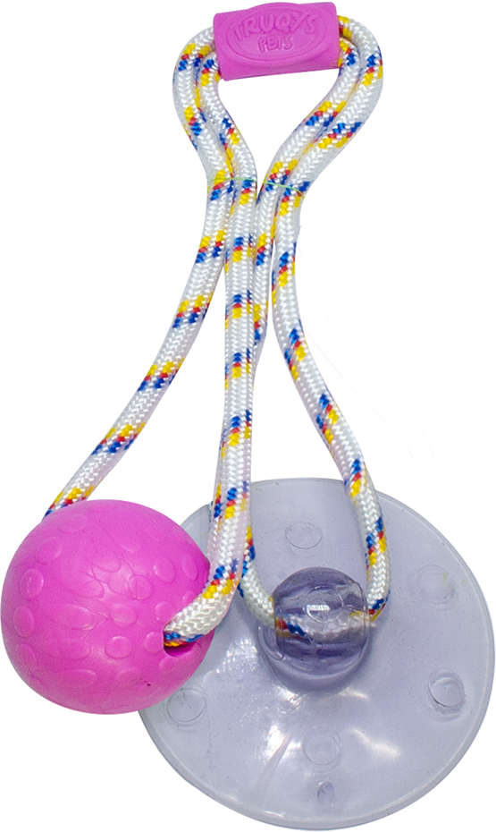 Brinquedo Push Ball Divercão Rosa - Tam. Único