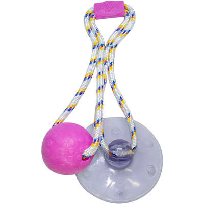 Brinquedo Push Ball Divercão Rosa