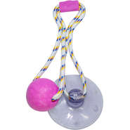 Brinquedo Push Ball Divercão Rosa - Tam. Único