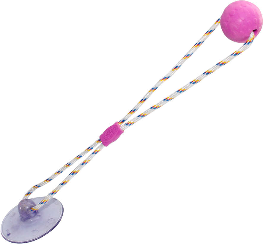Brinquedo Push Ball Divercão Rosa - Tam. Único