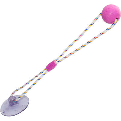Brinquedo Push Ball Divercão Rosa