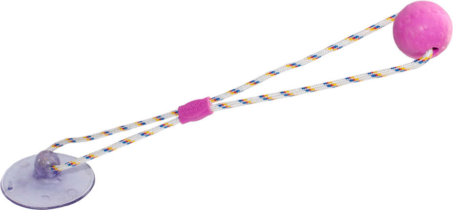Brinquedo Push Ball Divercão Rosa - Tam. Único
