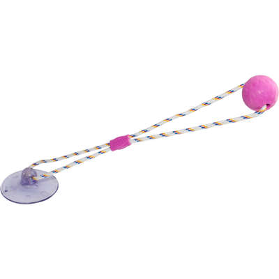 Brinquedo Push Ball Divercão Rosa