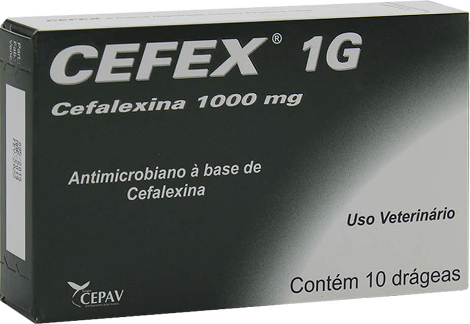 Antimicrobiano Cepav Cefex 1 g - 10 drágeas