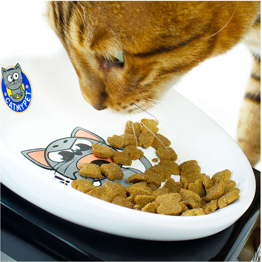 Comedouro CatMyPet Snack Cat - Preto