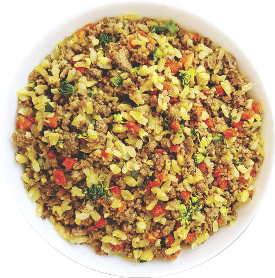 Comidinha Orgânica All Love Frango, Brócolis, Chia, Cenoura, Arroz & Cúrcuma para Cães Adultos - 1Kg