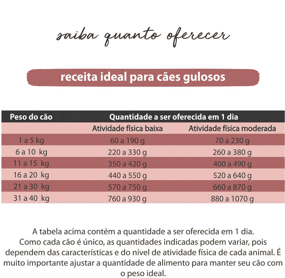 Comidinha Orgânica All Love Frango, Abóbora, Coco, Brocólis, Grão de Bico, & Aveia para Cães Gulosos - 1Kg