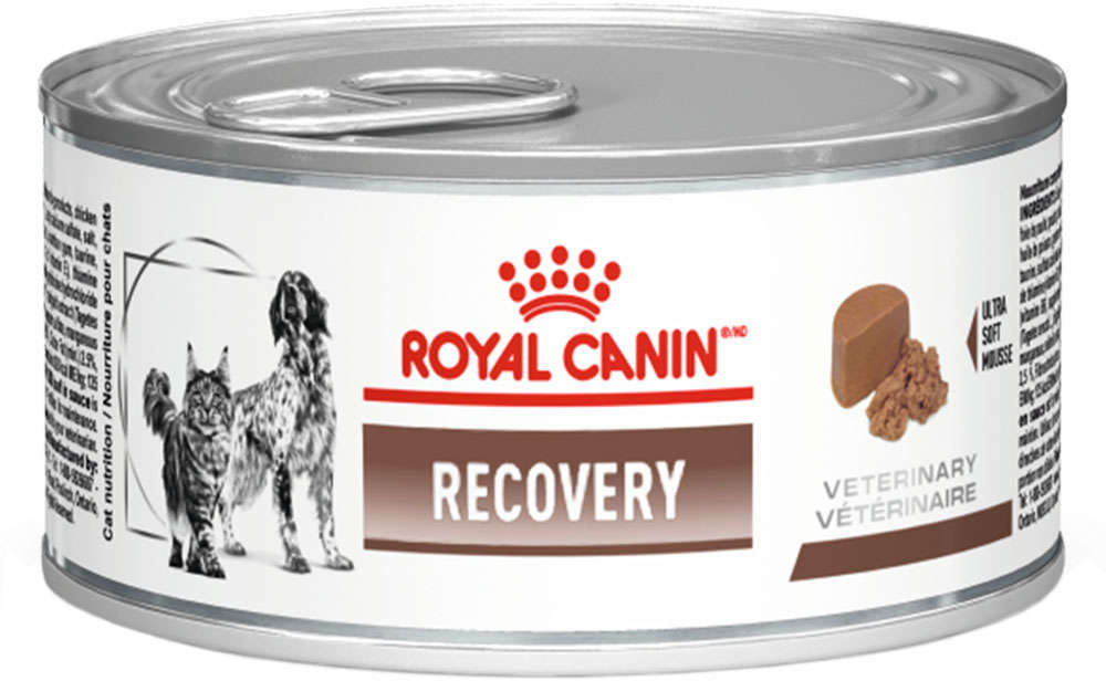Ração Royal Canin Lata Canine e Feline Veterinary Diet Recovery Wet - 195 g