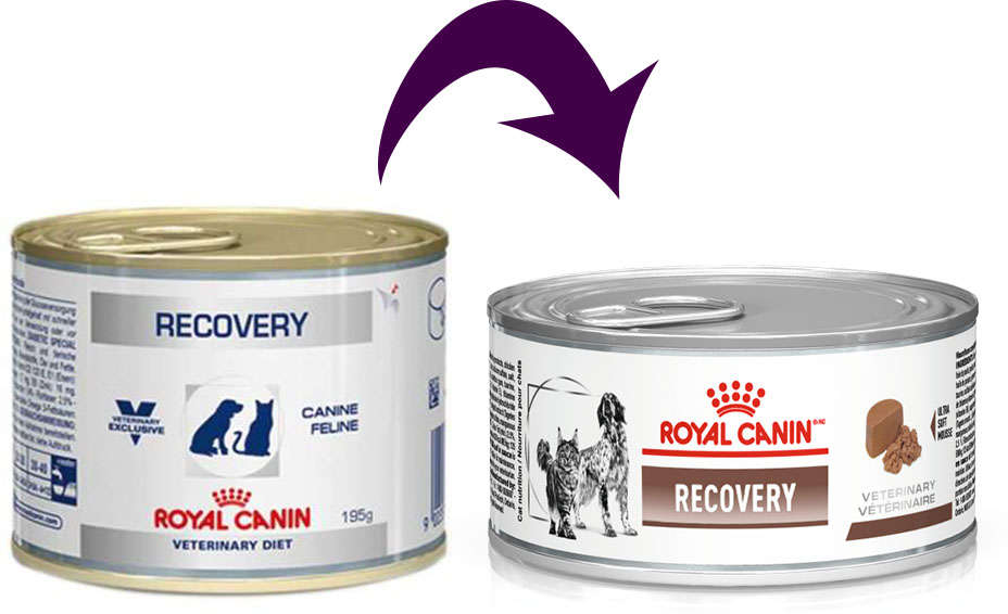 Ração Royal Canin Lata Canine e Feline Veterinary Diet Recovery Wet - 195 g