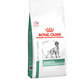 Ração Royal Canin Canine Veterinary Diet Diabetic para Cães Adultos com Diabetes