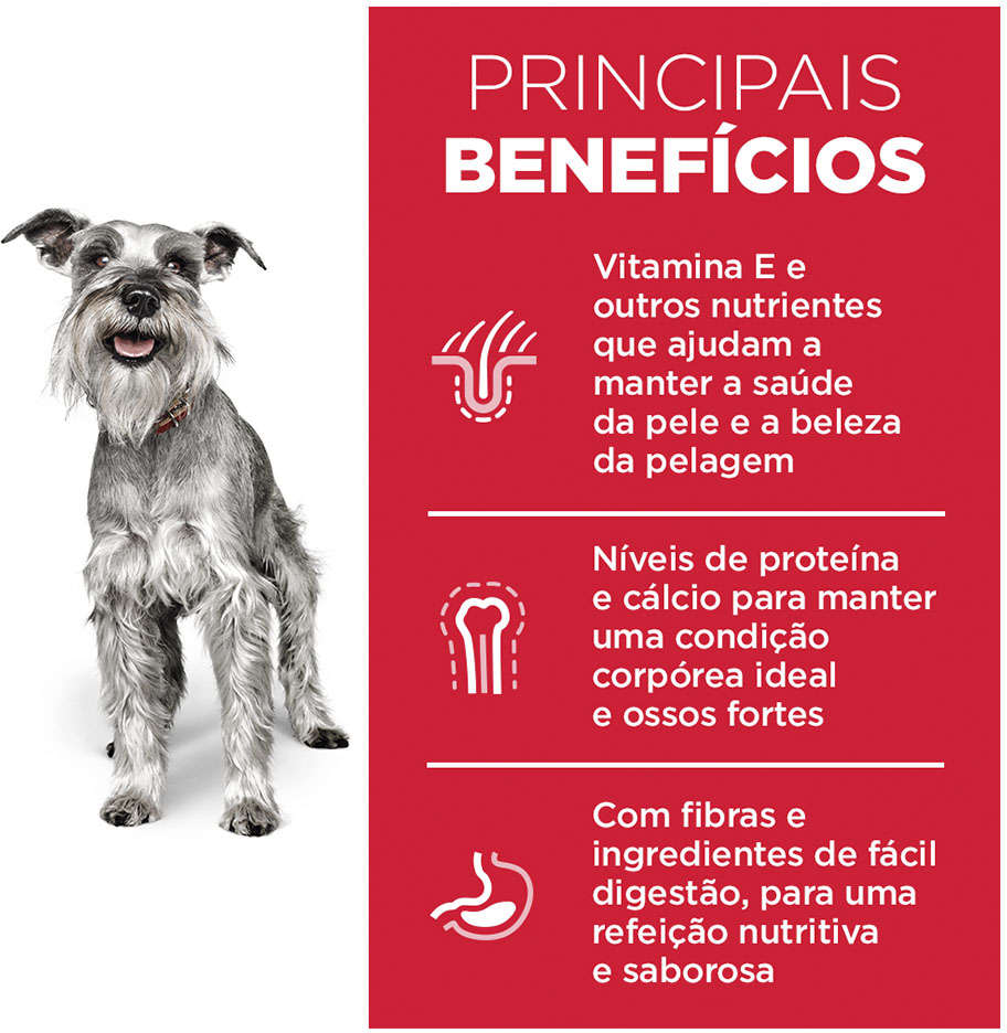 Ração Seca Hill's Science Diet para Cães Adultos 7+ Sênior Raças Minis e Pequenas - 2,04Kg