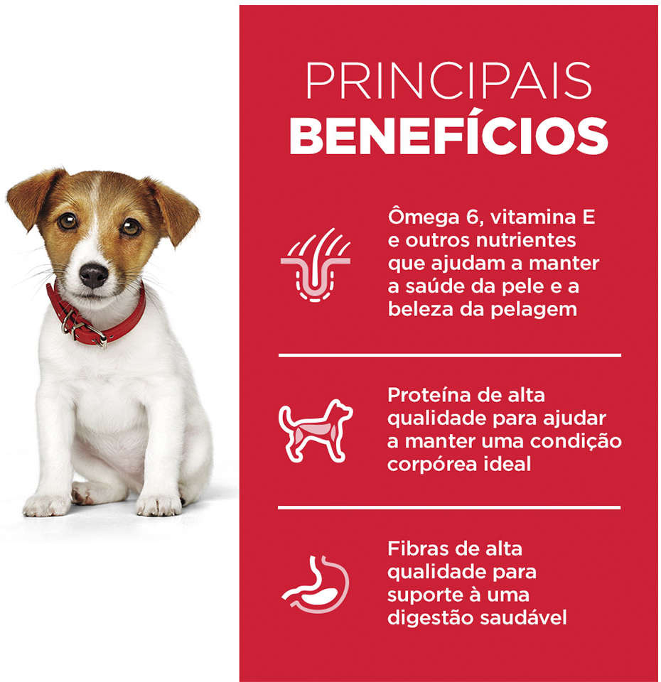 Ração Seca Hill's Science Diet Pedaços Pequenos para Cães Filhotes - 2,04Kg