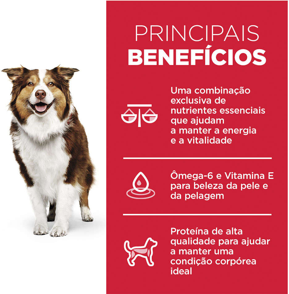 Ração Seca Hill's Science Diet para Cães Adultos 7+ Sênior - 6,8Kg