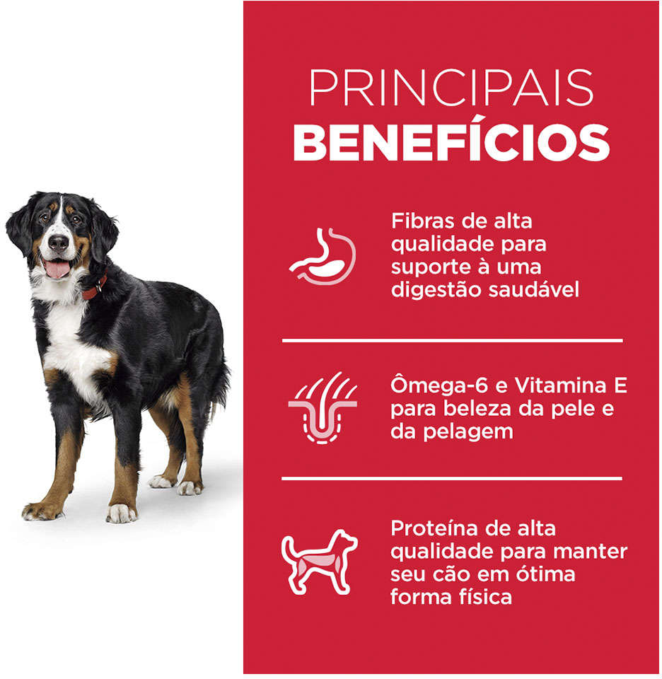 Ração Seca Hill's Science Diet para Cães Adultos Raças Grandes - 12,02Kg
