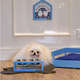 Comedouro Duplo Madeira Azul para Cães e Gatos