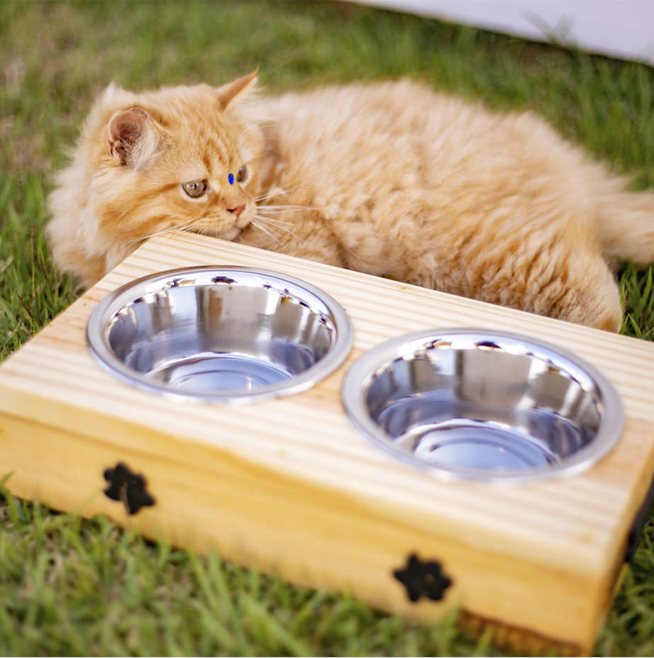 Comedouro Duplo Madeira Natural Patinhas para Cães e Gatos - Tam. Único
