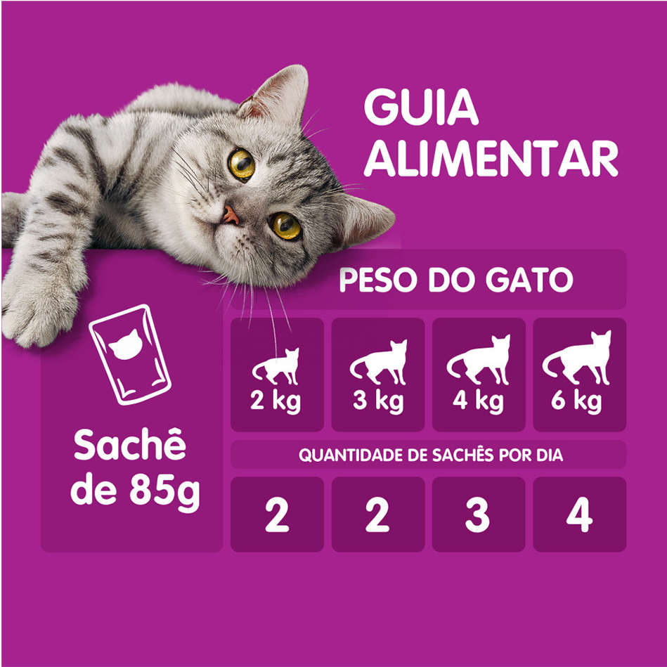 Kit Ração Úmida Whiskas Sachê Carne ao Molho para Gatos Adultos Sênior 7 + Anos - 40 Unidades