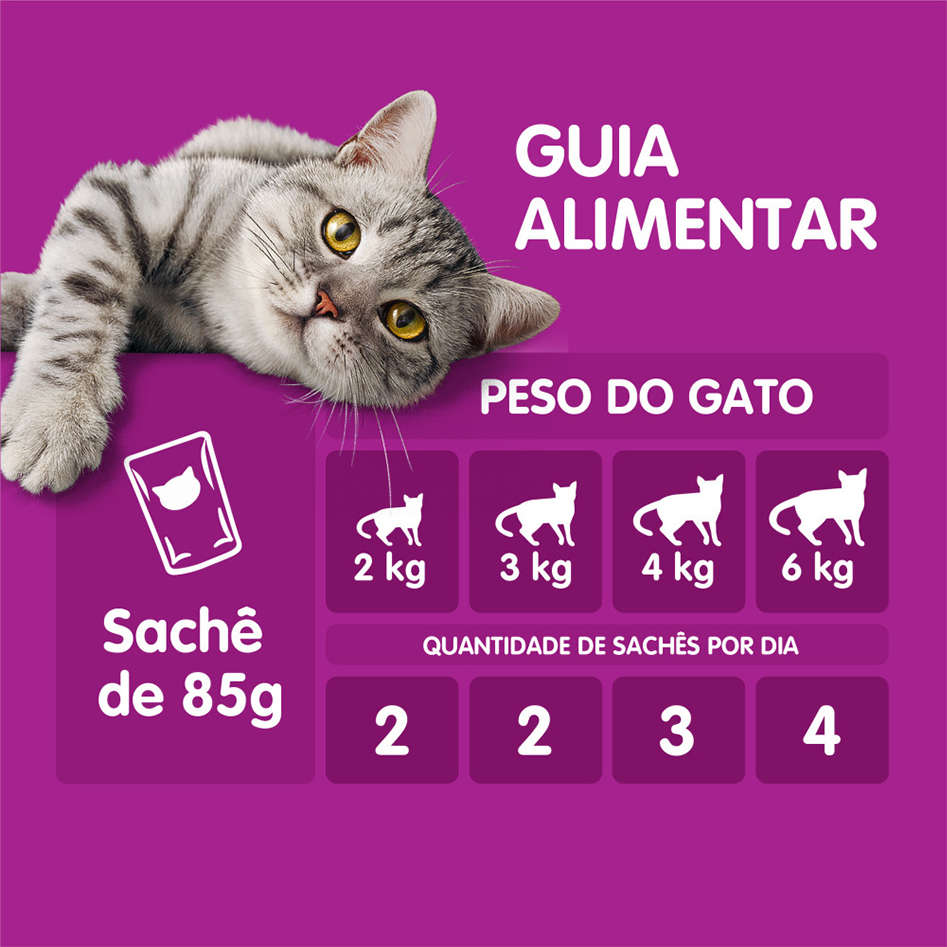 Ração Úmida Whiskas Sachê Carne Jelly para Gatos Adultos Sênior 7 + Anos - 40 Unidades