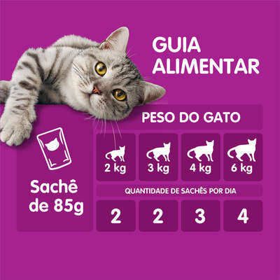 Ração Úmida Whiskas Sachê Carne Jelly para Gatos Adultos Sênior 7 + Anos