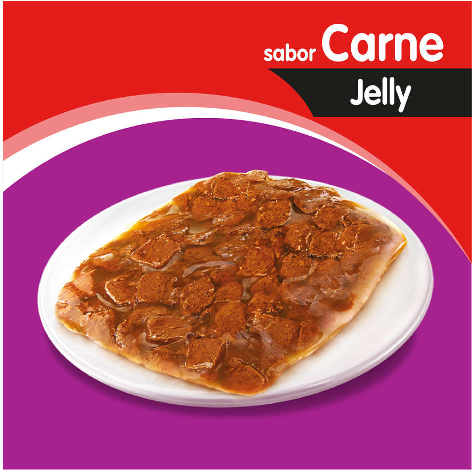 Kit Ração Úmida Whiskas Sachê Carne Jelly para Gatos Filhotes - 40 Unidades