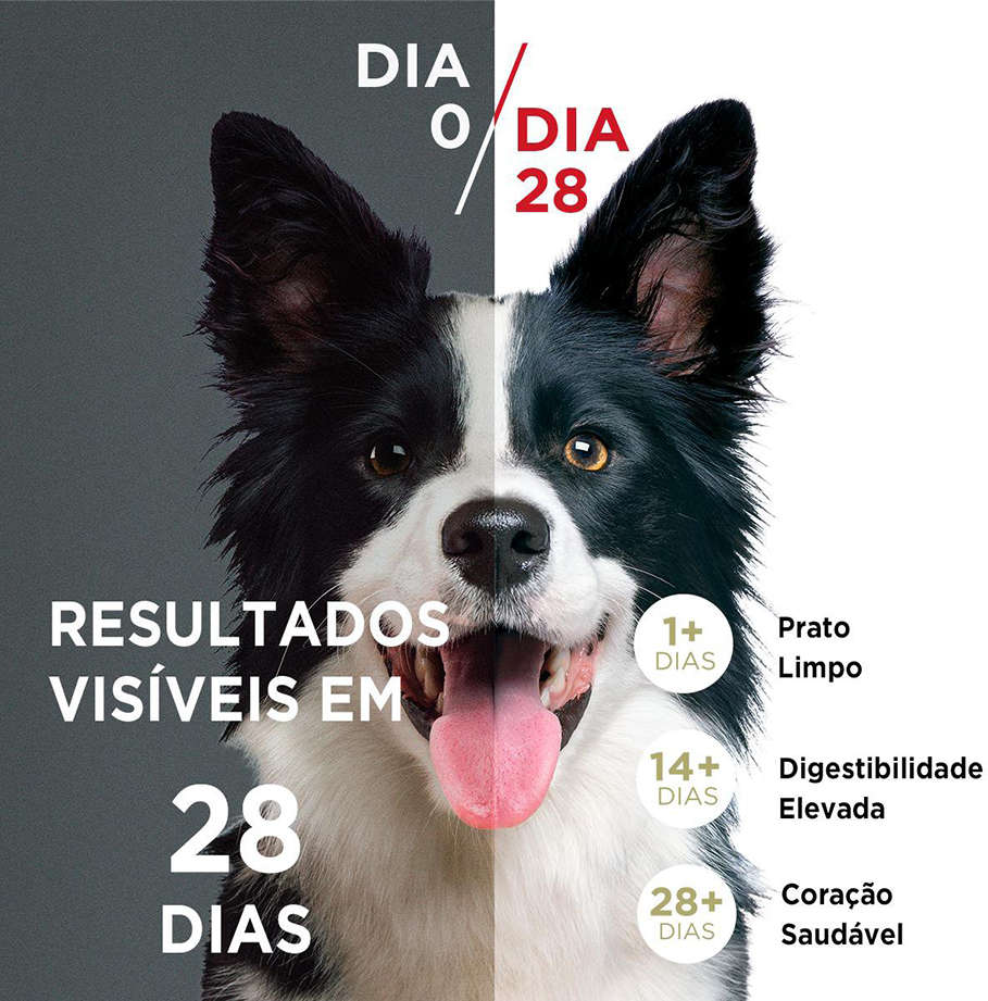 Ração Seca Nestlé Purina One Frango e Carne para Cães Filhotes - 2Kg