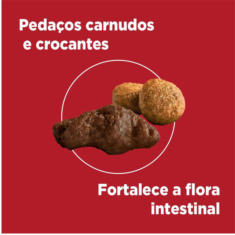 Ração Seca Nestlé Purina One Frango e Carne para Cães Filhotes - 2Kg