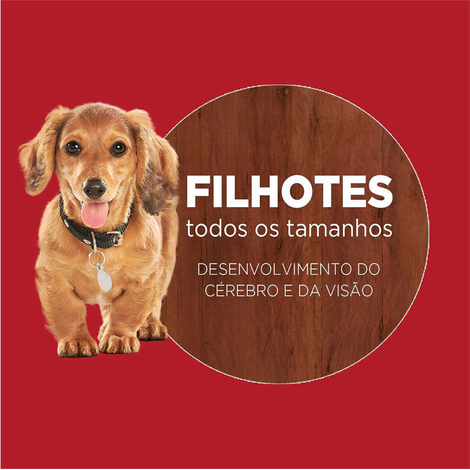 Ração Seca Nestlé Purina One Frango e Carne para Cães Filhotes - 2Kg