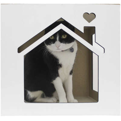 Nicho Casinha Branco para Gatos
