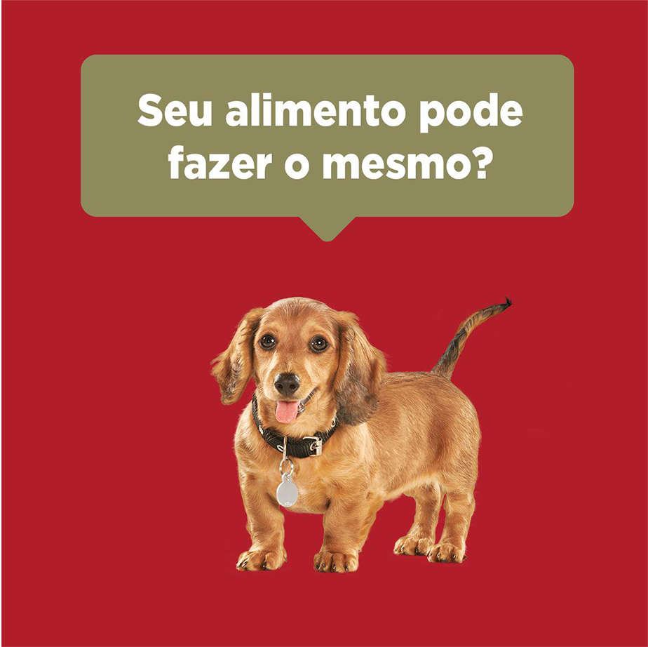 Ração Seca Nestlé Purina One Frango e Carne para Cães Filhotes - 2Kg