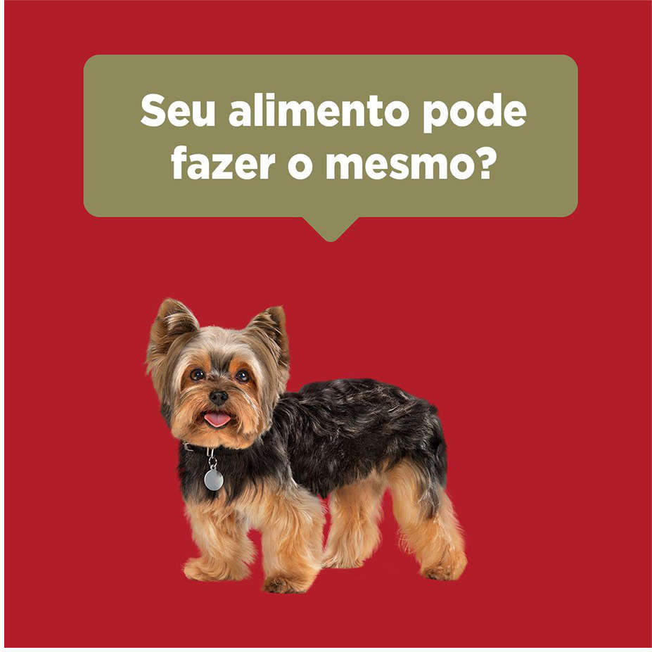 Ração Seca Nestlé Purina One Frango e Carne para Cães Adultos Raças Minis e Pequenas - 2Kg