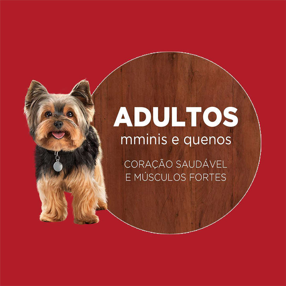 Ração Seca Nestlé Purina One Frango e Carne para Cães Adultos Raças Minis e Pequenas - 2Kg
